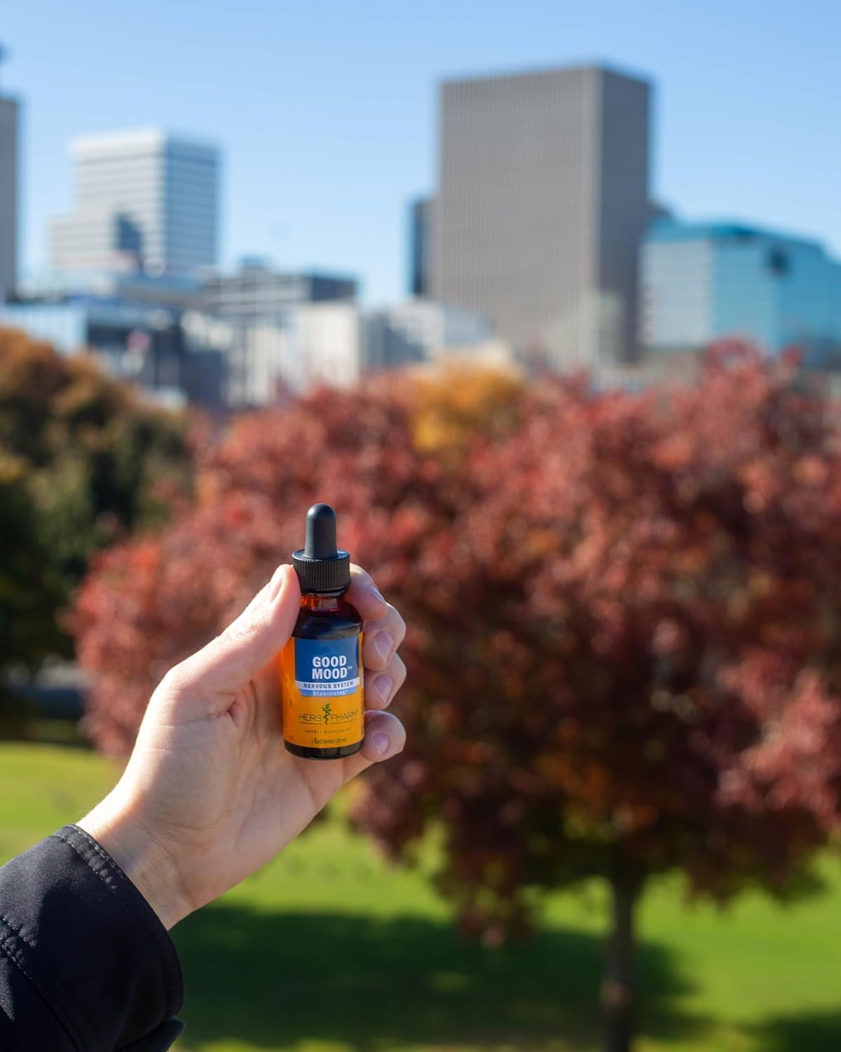 Good Mood Support Supplement: with St. John'S Wort & Certified Organic Ashwagandha | Positive Mood & Emotional Balance Support Tincture| Fast-Absorbing, Non-Gmo |Up to 2 Week Supply, 1 Oz*