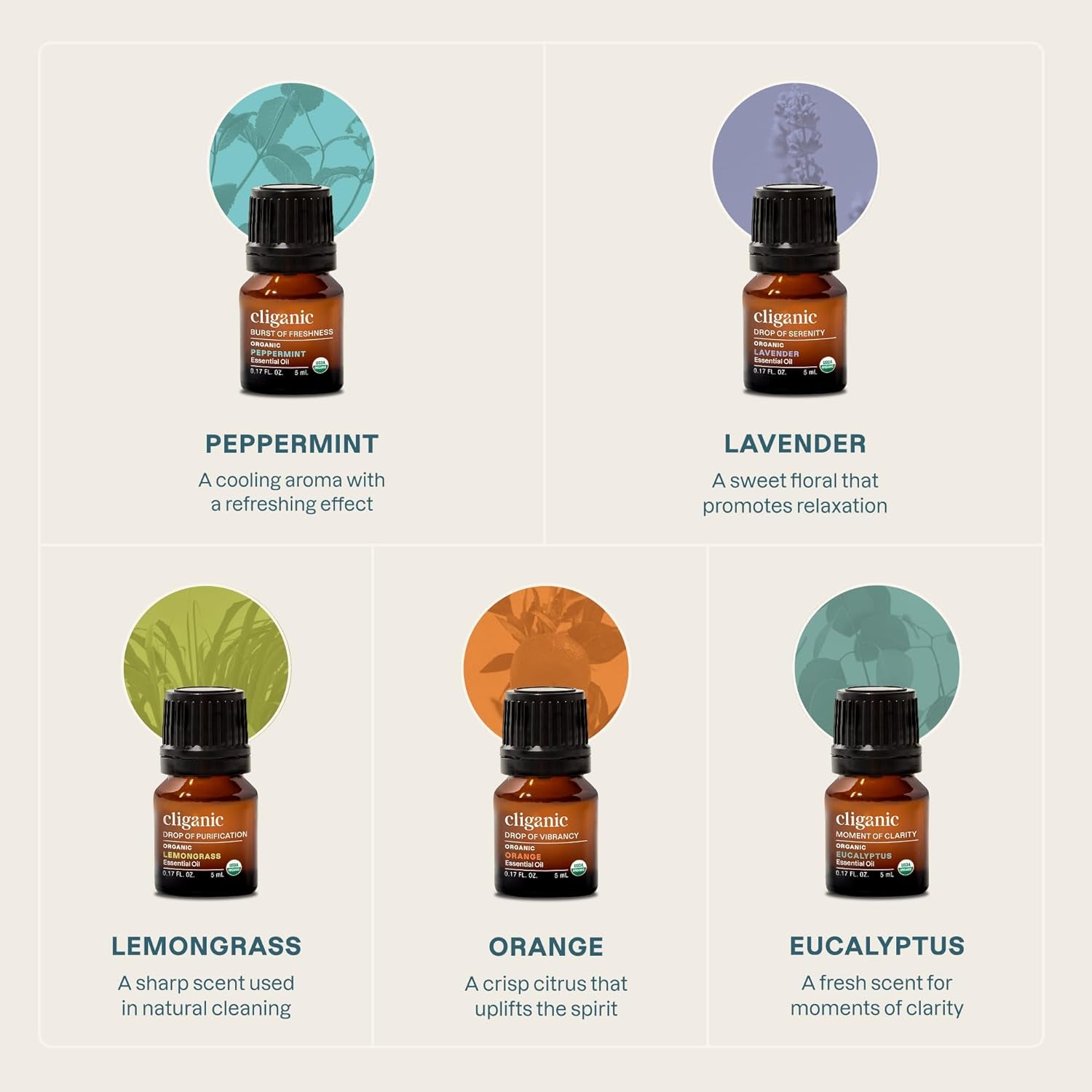 Organic Essential Oils Set (Top 5 - the Classics) - 100% Pure Natural - Aromatherapy, Candle Making - Peppermint, Lavender, Eucalyptus, Lemongrass & Orange